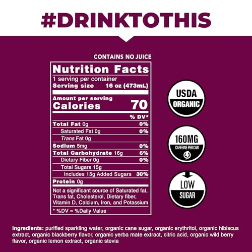  USDA Organic Low Calorie Blackberry Yerba Mate Tea - Healthy Alternative to Soda & Energy Drinks (16oz cans, 12-Pack Ca